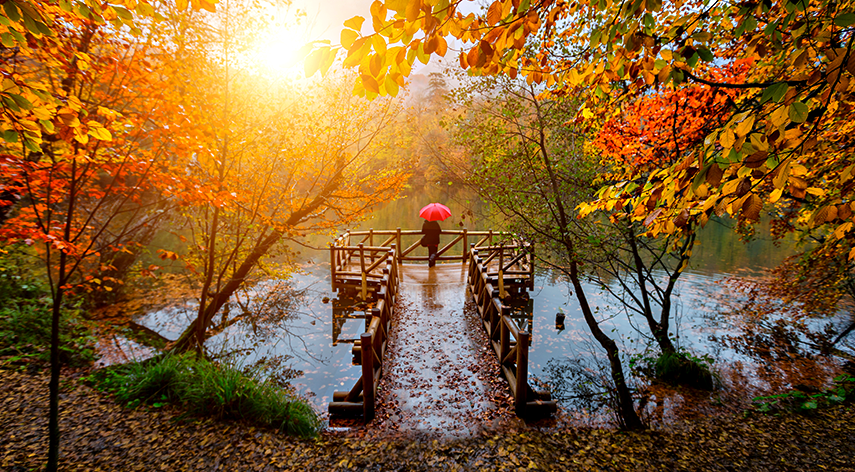 BATI KARADENİZ TURU