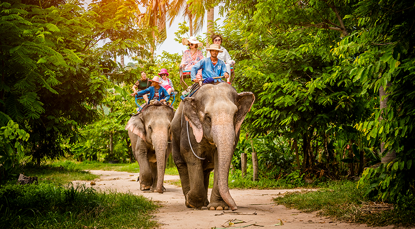 Phuket Cennet Adaları Turu Turu 6 Gece Mahan Havayolları İle