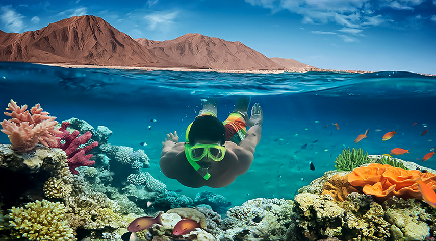 Promosyon Sharm El Sheikh Turu Ajet Havayolları ile 4 Gece Transfer Saatine Kadar Otel Kullanımlı
