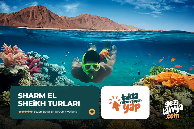 Promosyon Sharm El Sheikh Turu Ajet Havayolları ile 4 Gece Transfer Saatine Kadar Otel Kullanımlı